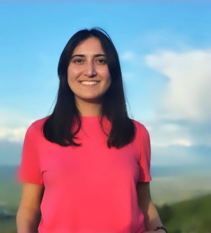 ანი ჩოხელიIMG_20201006_022141_079-01_516.jpeg